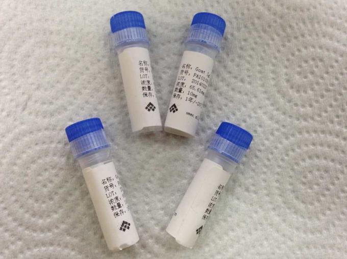 Maladie infectieuse polyclonale d'anticorps de HBsAg de moutons anti- pour la recherche d'IVD