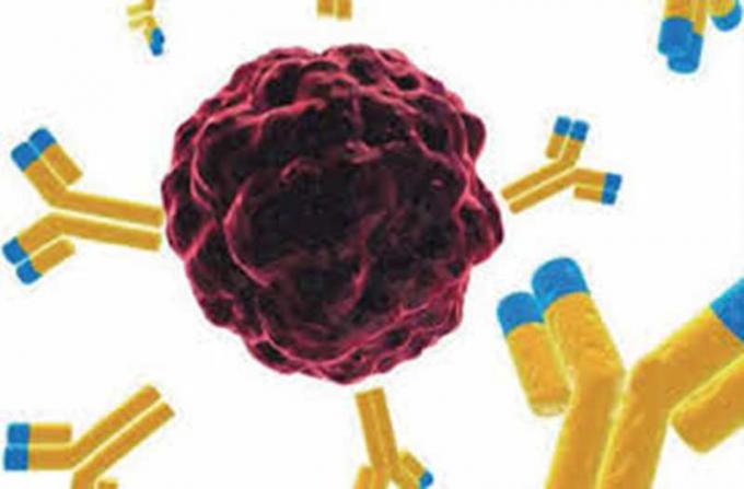 anti- anticorps monoclonal de souris de benzodiazépines pour la recherche d'IVD