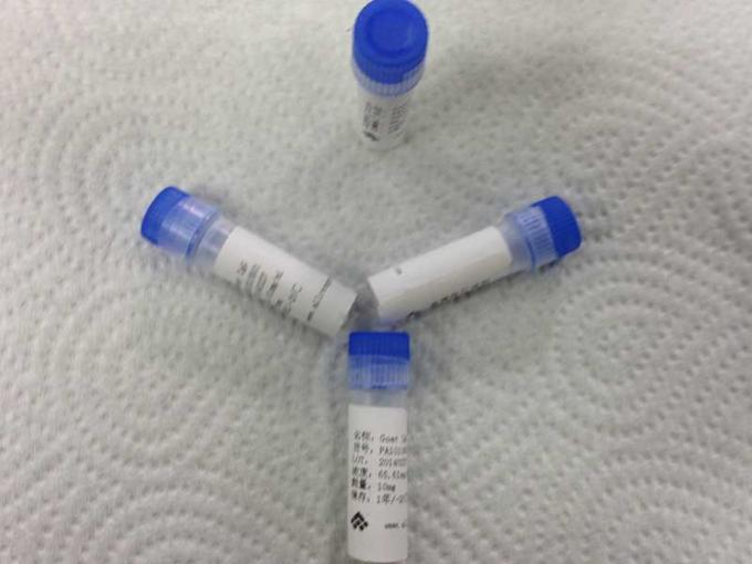 Anticorps polyclonaux faits sur commande d'IgG corps polyclonal médical de chèvre d'anti pour le diagnostic de Vitro