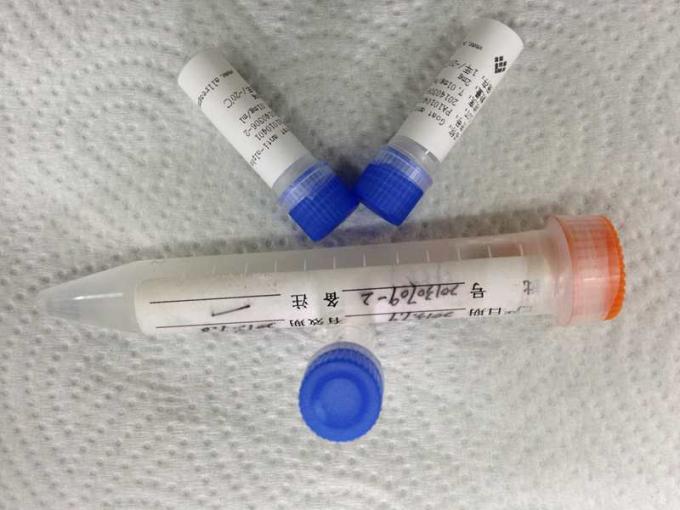 Anticorps monoclonal de souris de haute performance