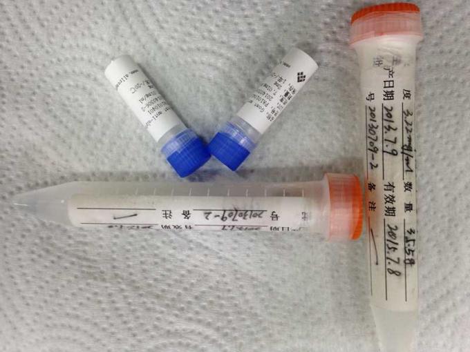 Anti- drogue d'anticorps monoclonal d'hybridome d'amphétamine d'abus épurée