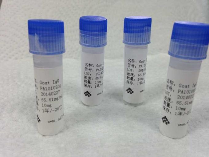 Technologie et anticorps monoclonaux d'hybridome de théophylline de souris anti-