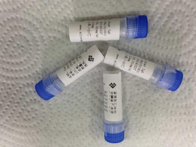 Protéine de recombinaison épurée par tuberculose pour l'analyse de membrane