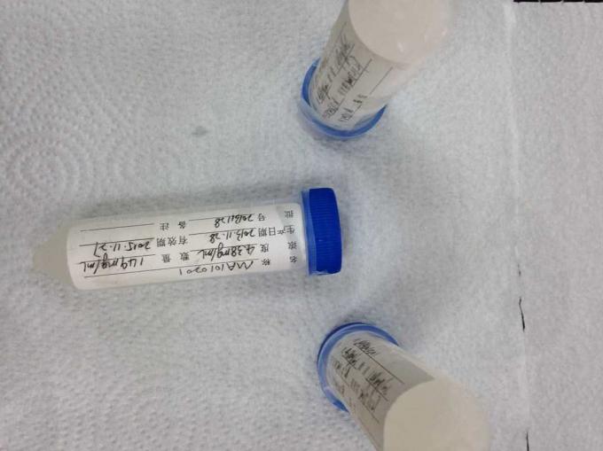 Anticorps monoclonaux d'hybridome de RBC Mab-1 d'humain de souris anti-