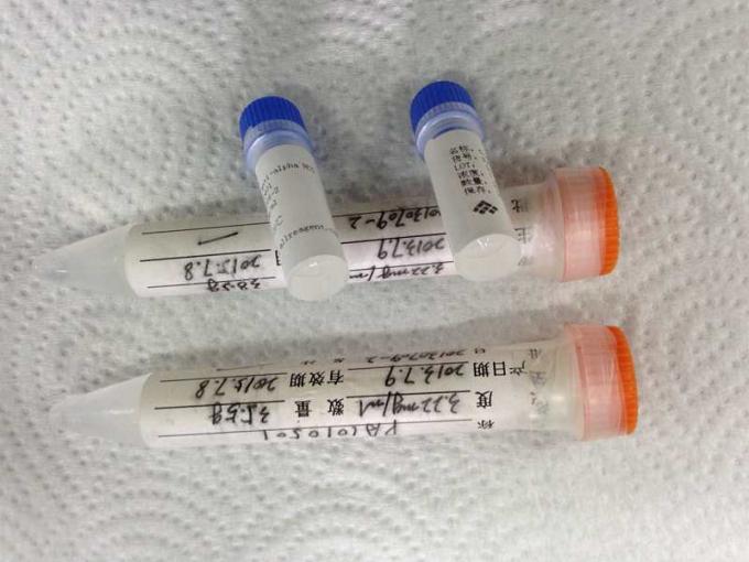 Anti- alpha anticorps monoclonal médical d'hybridome de HCG pour la recherche d'IVD