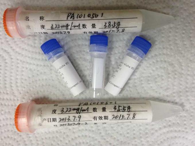 Anti- anticorps de Mab d'anticorps monoclonal de souris de HBsAg pour l'analyse de membrane