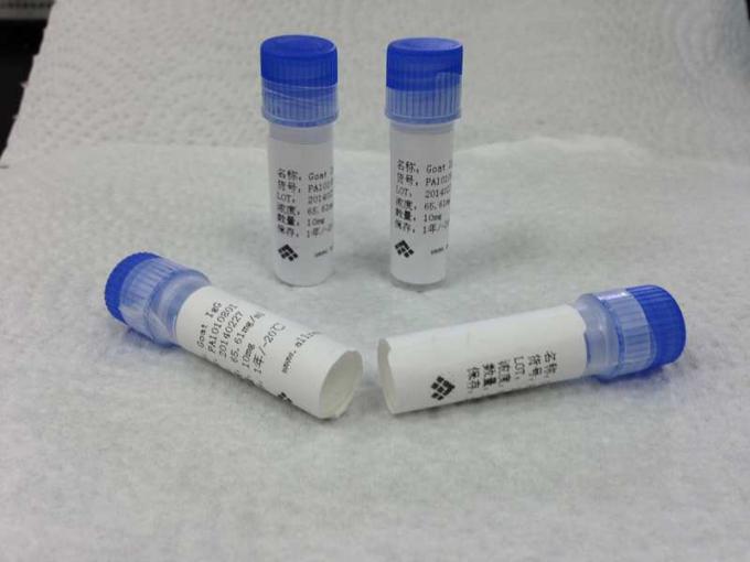 Sensibilité élevée anti- de bêta de HCG Mab de souris anticorps monoclonal médical de souris