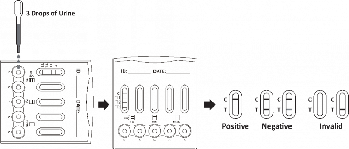 Multi - dopez les kits d'essai de mycotoxine haut précis/99,2% ISO13485 précis