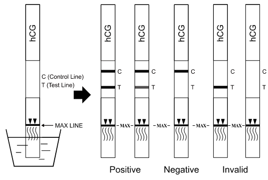 l'utilisation d'essai du microglobul β2 avec du sang total humain /serum /plasma par Fiatest VONT analyseur d'immunoessai de fluorescence