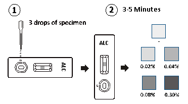 Examiner un essai rapide d'étape pour la cassette semi-quantitative d'alcool de détection