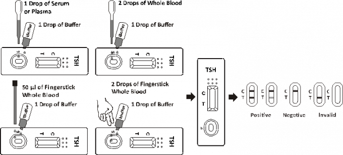 Cassette stimulante d'essai thyroïde de TSH/d'essai d'hormone thyroïde humaine de TSH