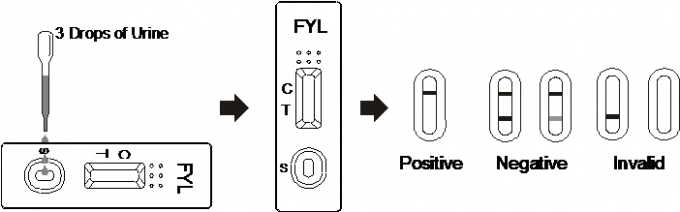 Le CE facile d'utilisation d'essai de fentanyle de FYL de cassette de toxicomanie de kit rapide d'essai a certifié dans le sang total humain /Serum/Plasma