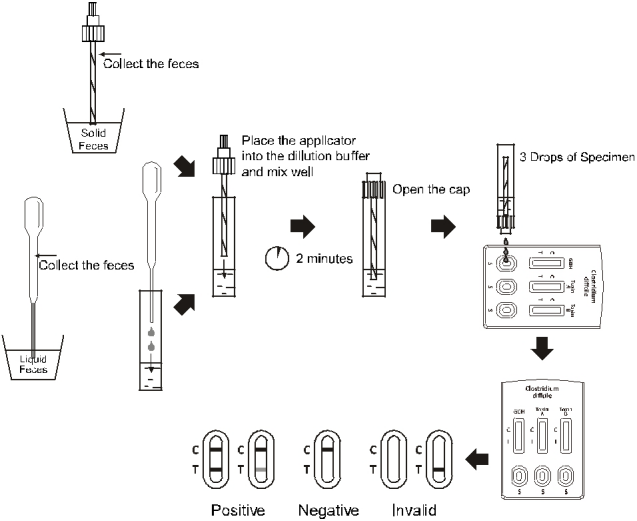 Clostridium difficile GDH + toxine résidus rapides combinés de cassette d'essai d'A + de B
