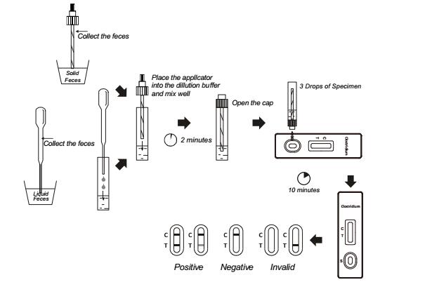 Cassette rapide difficile d'essai du clostridium GDH d'essai de maladie infectieuse