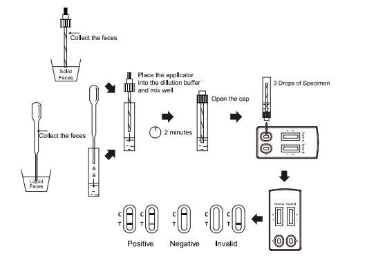 L'écoulement latéral Immunochromatographic de la CE analyse la cassette rapide combinée difficile d'essai de la toxine B de la toxine A+ de clostridium