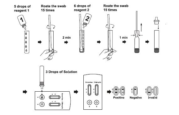CIG rapide combinée de kits de gonorrhée et d'essai de Chlamydia -525 facile à utiliser