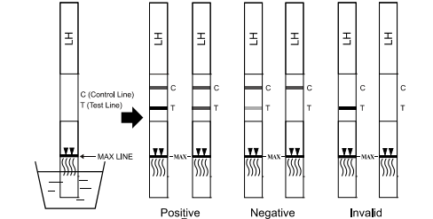 Main gauche élevée de sensibilité/OIN rapide 13485 de la CE de kits d'essai hormone de Luteinizing