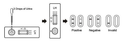 Main gauche élevée de sensibilité/OIN rapide 13485 de la CE de kits d'essai hormone de Luteinizing