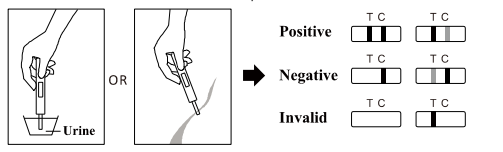 Main gauche élevée de sensibilité/OIN rapide 13485 de la CE de kits d'essai hormone de Luteinizing