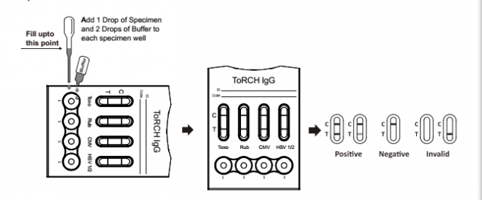 Kit d'examen de diagnostic rapide fiable de Toxo de torche/Rubella/CMV/HSV 1/2 IgM avec la sensibilité élevée