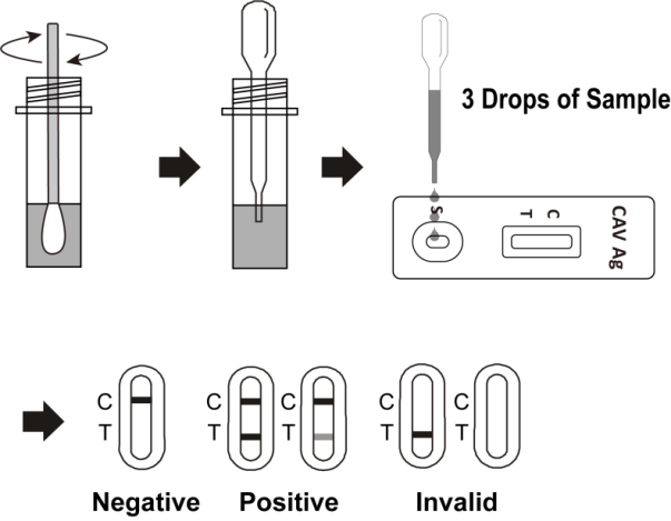 Essai canin stable de Heartworm AG de kits rapides d'essai de polypropylène/polystyrène