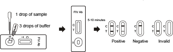 Essai félin du virus ab d'immunodéficit d'utilisation d'essai rapide commode d'analyse