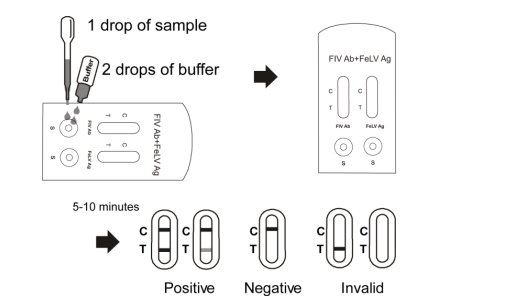 Cassette rapide combinée d'essai d'anticorps de Fiv + d'antigène de Felv, kits rapides d'essai de drogue
