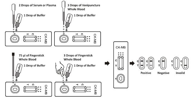 Mb rapide et fiable CK - kit rapide de kinase de créatine d'essai de mb pour la sensibilité élevée