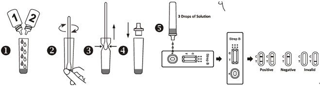 Essai rapide de streptocoque pour la détection qualitative des streptocoques (GBS) du groupe B en urine