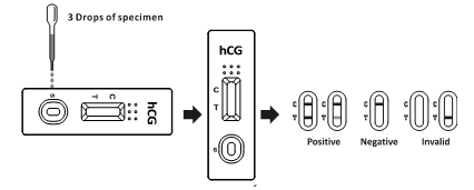 Les kits diagnostiques rapides d'une d'étape d'OTC détection de l'hormone chorionique gonadotrophique HCG autoguident l'utilisation
