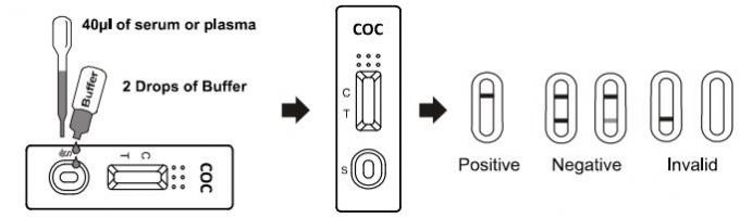 cassette rapide d'essai de drogue de /Serum/Plasma de sang total du kit COC d'essai de la toxicomanie 50ng