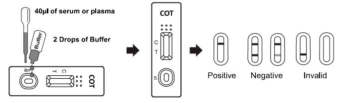 Kit rapide d'essai de toxicomanie de cassette d'essai de BERCEAU pour le métabolite de nicotine FDA 510K dans le sang total /Serum/Plasma