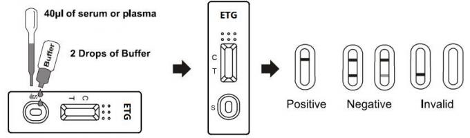 essai 500ng rapide à la détection de l'alcool Glucuronide éthylique dans le sang total humain /Serum/Plasma avec du CE