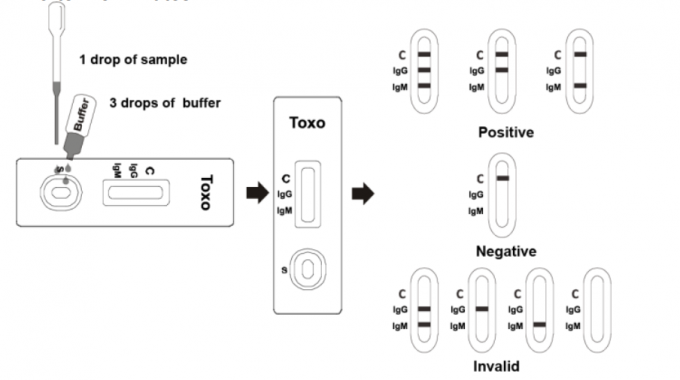Toxo IgG/taux de grande précision de kits rapides d'essai de cassette anticorps d'IgM