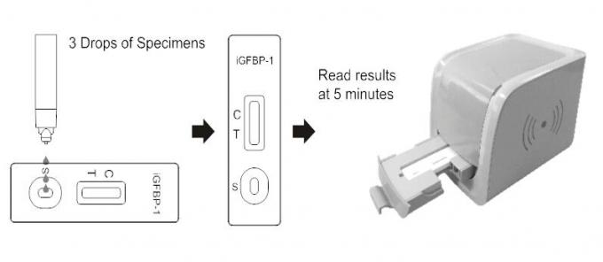 Certificat vaginal de la CE de sécrétion d'Igfbp -1 d'essai de cassette rapide stable de lecteur