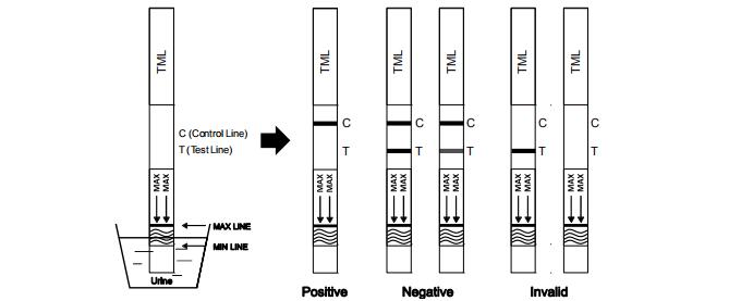 Rapid qualifié par haute de kit d'essai de toxicomanie de Tramadol TML en urine humaine
