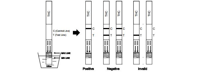 Jeûnent la bande d'essai d'urine commode de la marijuana THC THC/drogue simples du kit d'essai d'abus
