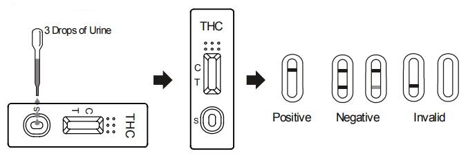 Jeûnent la bande d'essai d'urine commode de la marijuana THC THC/drogue simples du kit d'essai d'abus