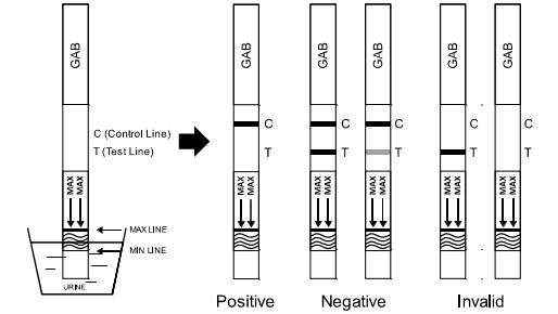 2000 kits d'essai de toxicomanie d'ENCOCHE de NG/ml Gabapentin, un essai rapide d'étape haut précis