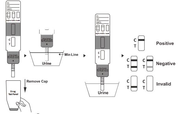 2000 kits d'essai de toxicomanie d'ENCOCHE de NG/ml Gabapentin, un essai rapide d'étape haut précis