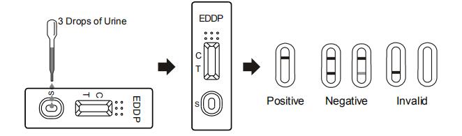 Essai rapide pour la détection qualitative de l'acide EDDP d'éthylènediamine-dimethylphosphinic en urine humaine