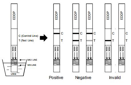Essai rapide pour la détection qualitative de l'acide EDDP d'éthylènediamine-dimethylphosphinic en urine humaine