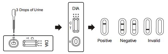 Kit de lecture rapide de transformateur rotatif pour la détection qualitative du diamètre de diazepam en urine humaine