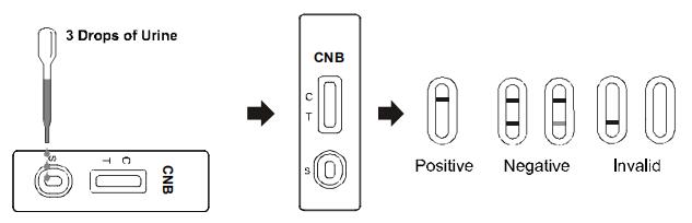 Cassette/jaugeur/panneau rapides d'essai de kit d'essai de toxicomanie du cannabinol CNB en urine
