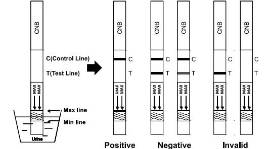 Cassette/jaugeur/panneau rapides d'essai de kit d'essai de toxicomanie du cannabinol CNB en urine