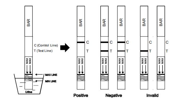 Diagnostic rapide d'OEM de kit d'essai de cassette/jaugeur/bande de toxicomanie de BARRE de Dispoable des barbiturates avec du CE