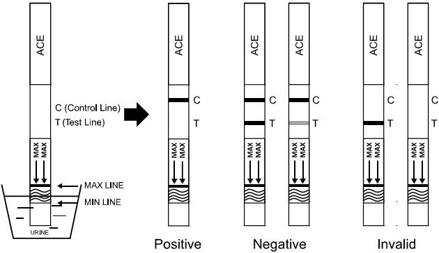 Urine précise de kits de cassette/jaugeur/de panneau toxicomanie d'essai de (ACE) 5000 ng/mL d'Acetaminophen avec du CE