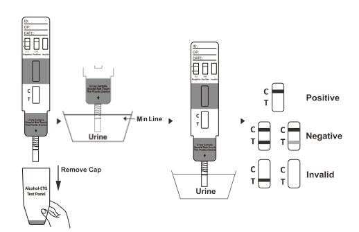 cassette d'essai de toxicomanie d'approbation de la CE de 1000 ng/mL/jaugeur/essai rapide kit de panneau pour la détection qualitative de caféine