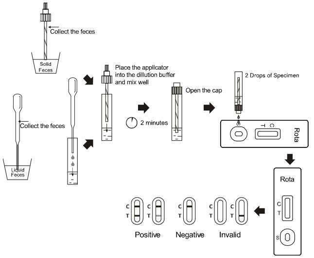 Essai commode de Rapid d'étape de la cassette une d'essai de maladie infectieuse de Rotavirus