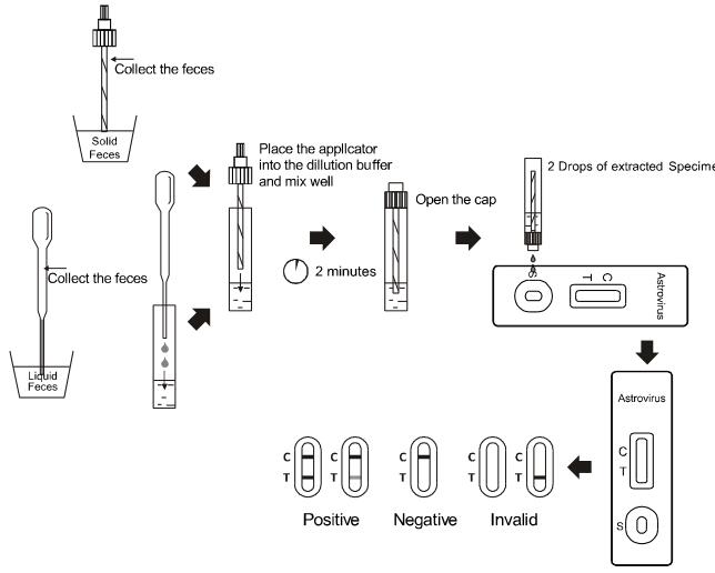 Haute cassette rapide de kit d'examen de diagnostic de Sensiivity Astrovirus facile à utiliser